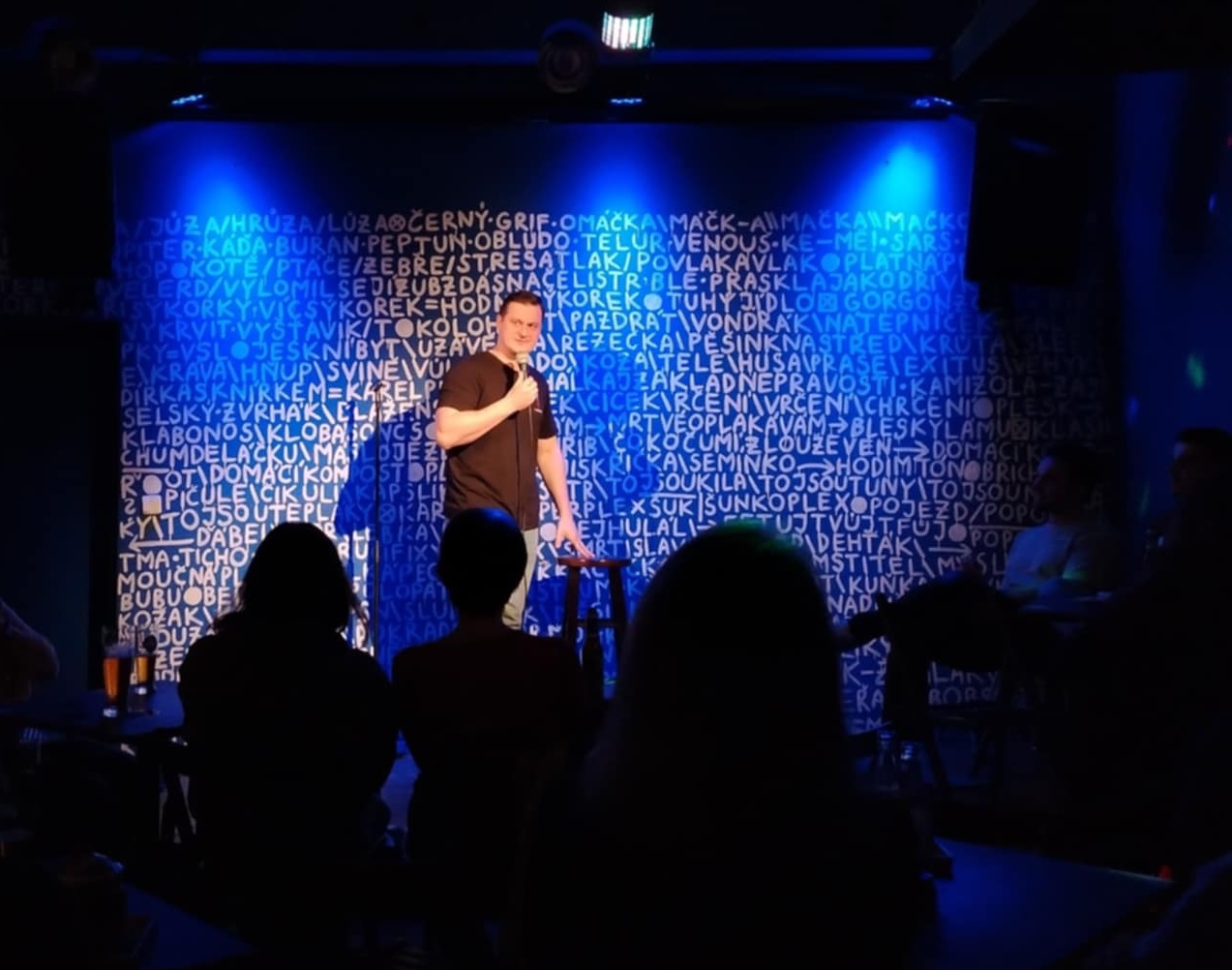 Stand-up comedy performance